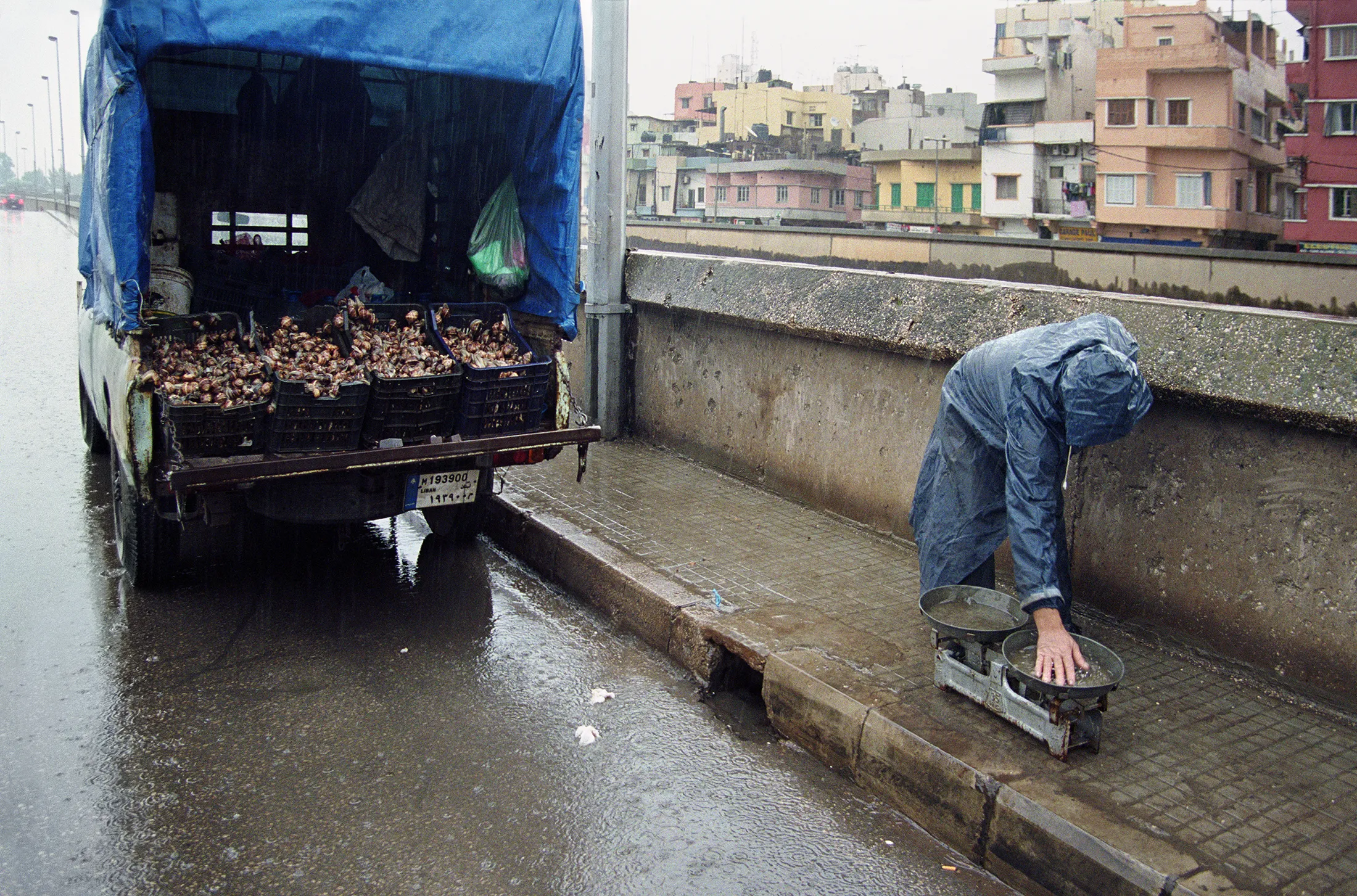 Snail Seller