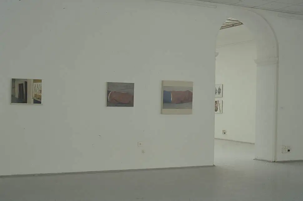 Description of image 4